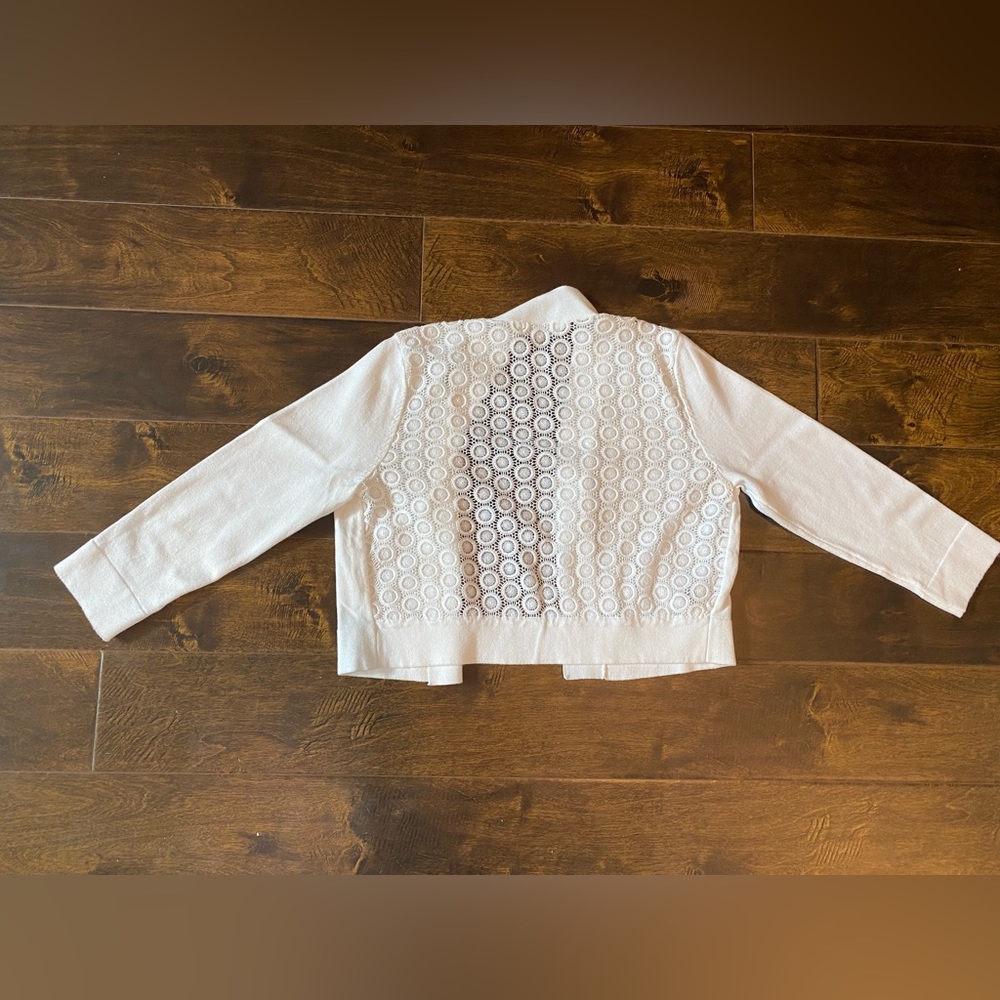 White Shell - Picture 3 of 3
